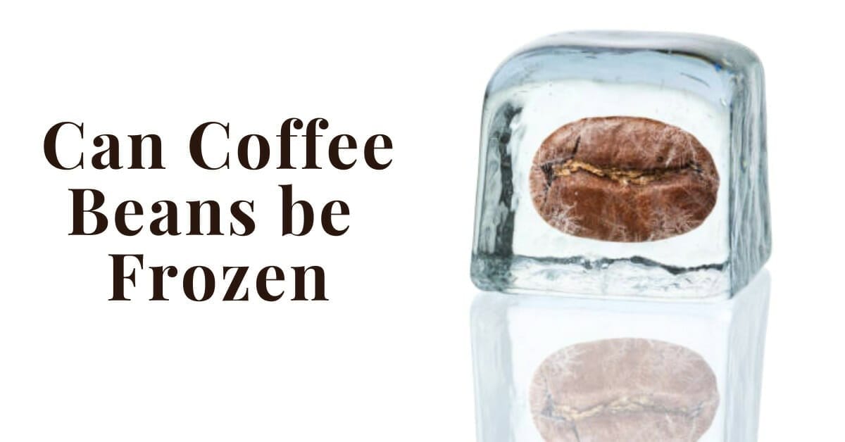 Can Coffee Beans Be Frozen Pros, Cons,