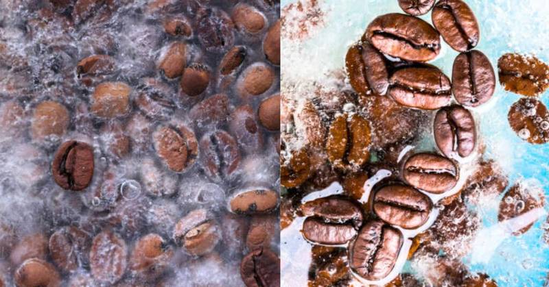 Do Coffee Beans Need to be Frozen?