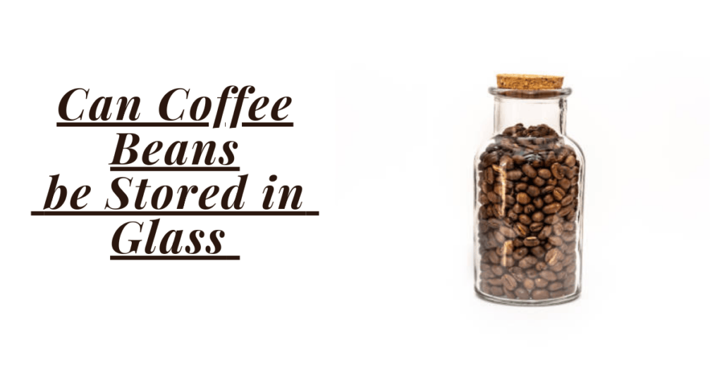 Can Coffee Beans be Stored in Glass