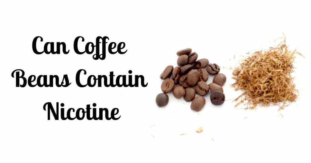 Can Coffee Beans Contain Nicotine