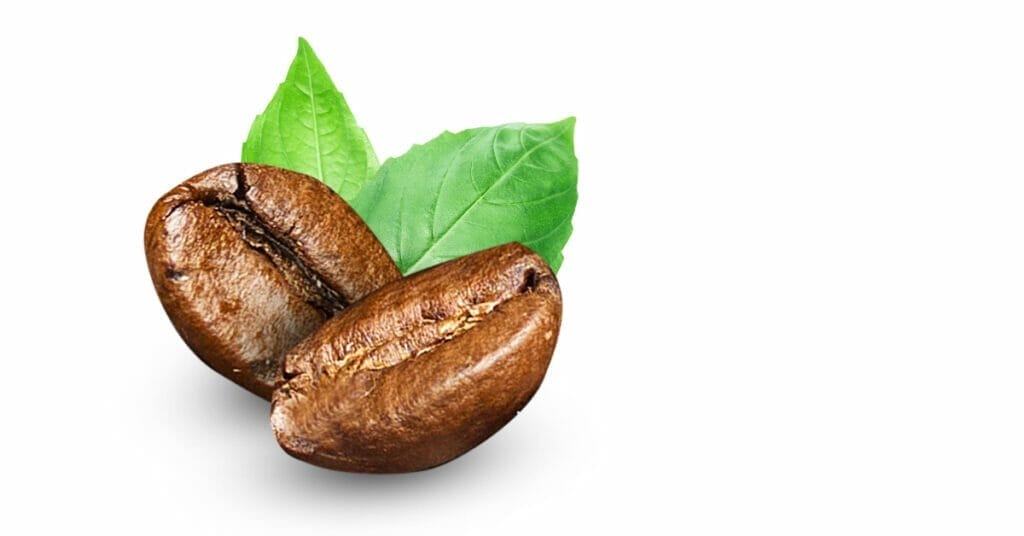 How long can coffee beans absorb odor