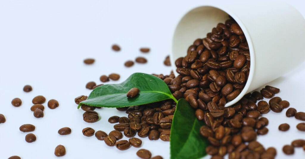 Can Coffee Beans Grow in Canada