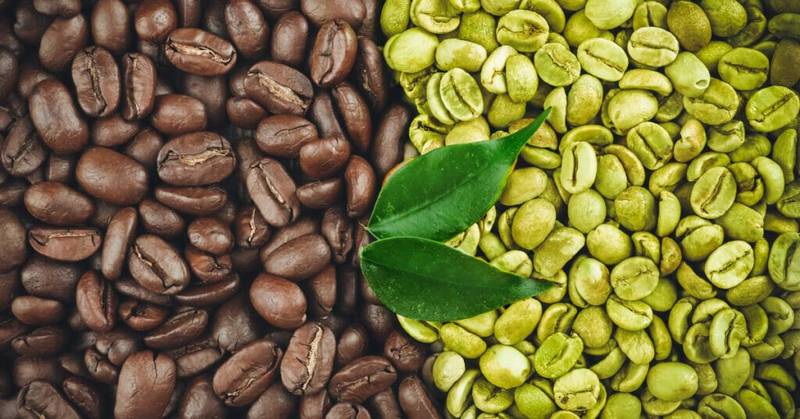 Green Coffee Beans Benefits and Side Effects
