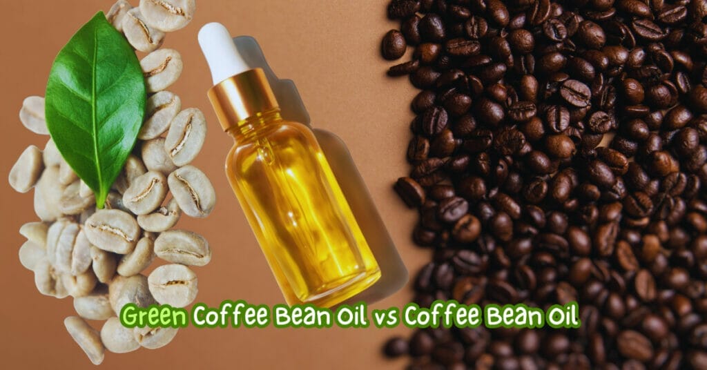 Green Coffee Bean Oil vs Coffee Bean Oil