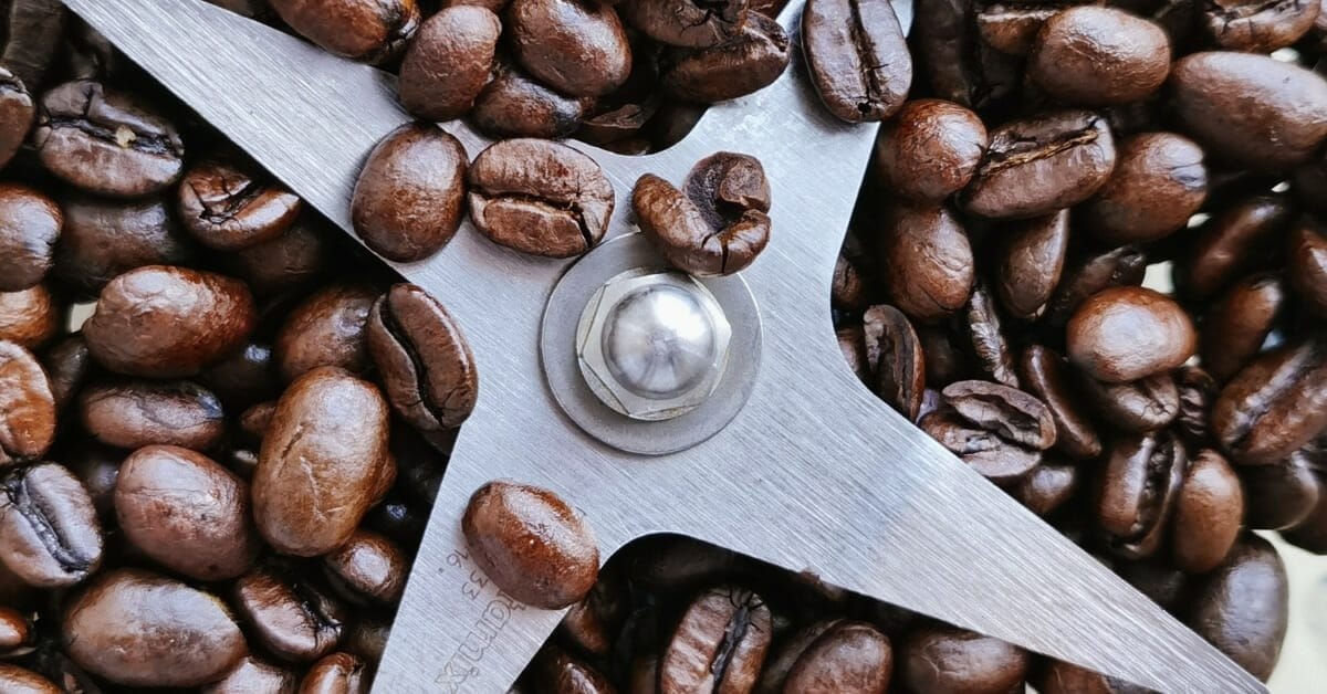 Can You Grind Coffee Beans In A Blender Quick Guide 2023