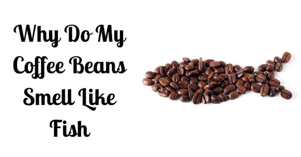Why Do My Coffee Beans Smell Like Fish