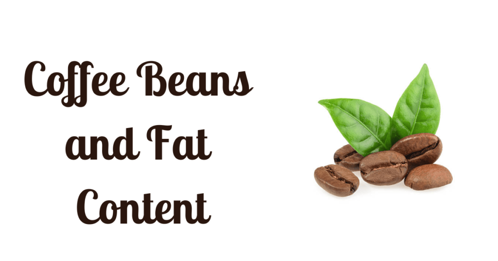 Coffee Beans and Fat Content
