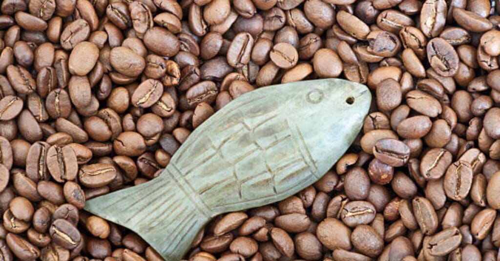 If Your Coffee Beans Smell Fishy?