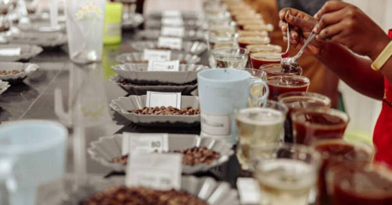 Benefits of Specialty Grade Coffee Beans