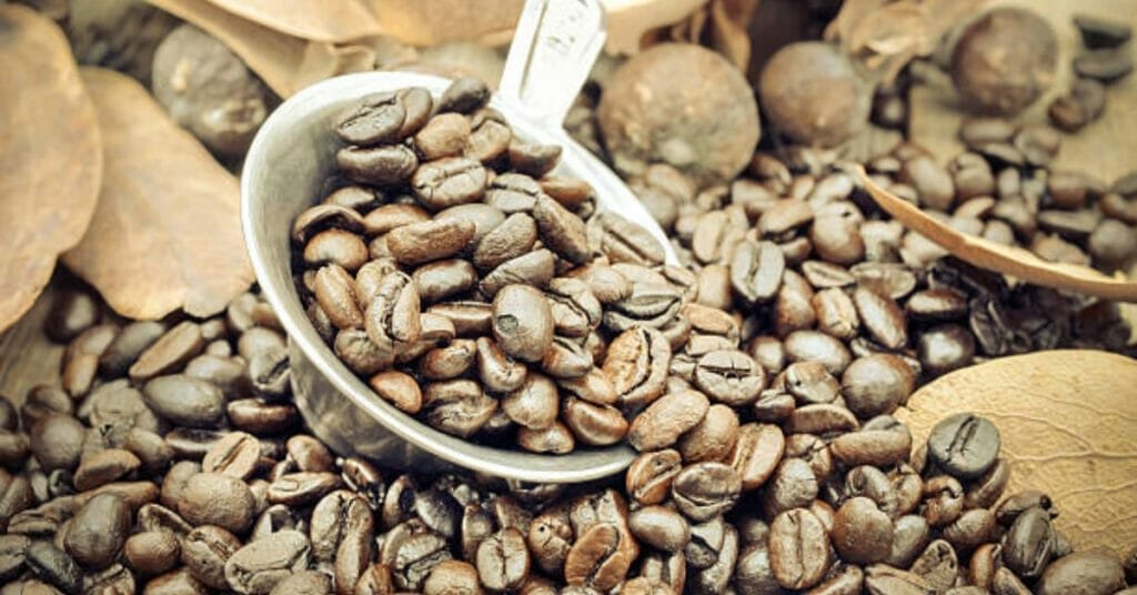 Do You Wash Green Coffee Beans Before Roasting?