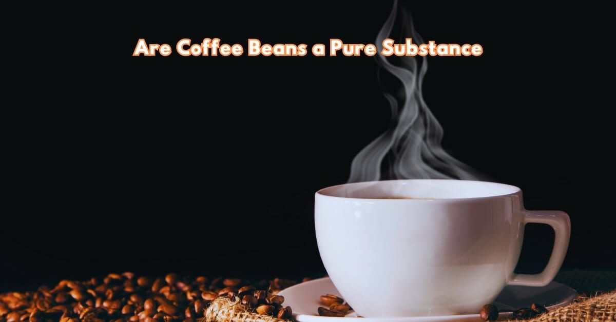 Are Coffee Beans A Pure Substance Biggest Mystery