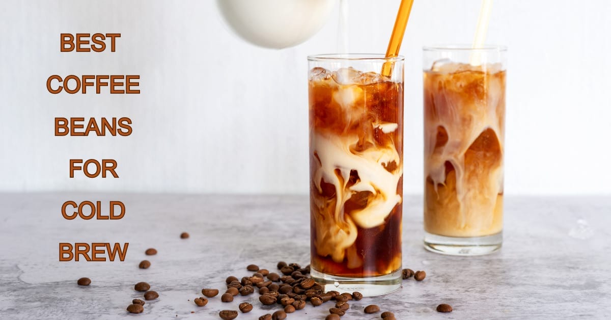 Best Coffee Beans For Cold Brew In 2024 Top 9 Options