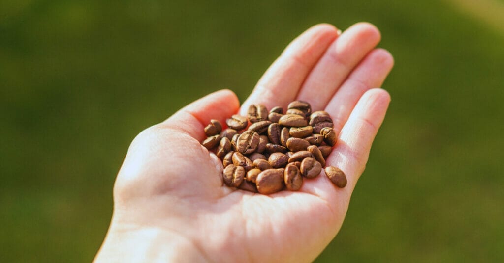 Can Coffee Beans Be Considered a Vegetable 