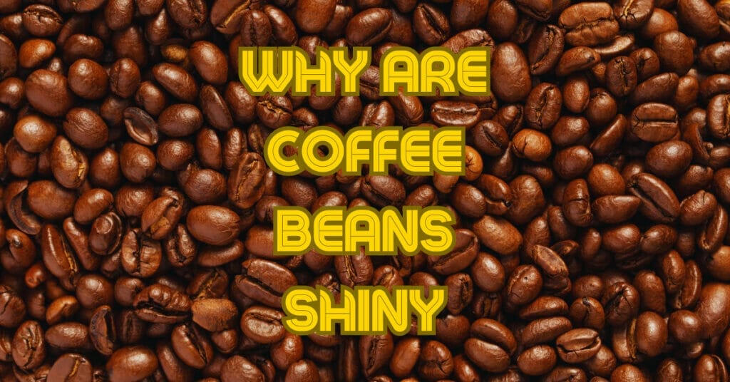 Why Are Coffee Beans Shiny