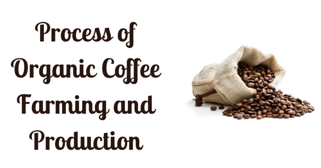 The Process of Organic Coffee Farming and Production