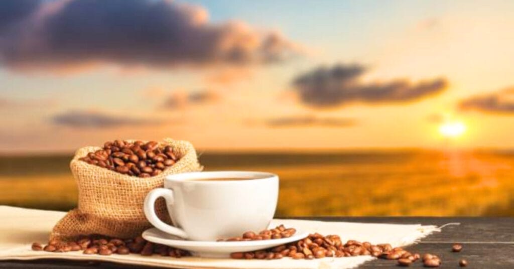 5 Reasons To Drink Organic Coffee