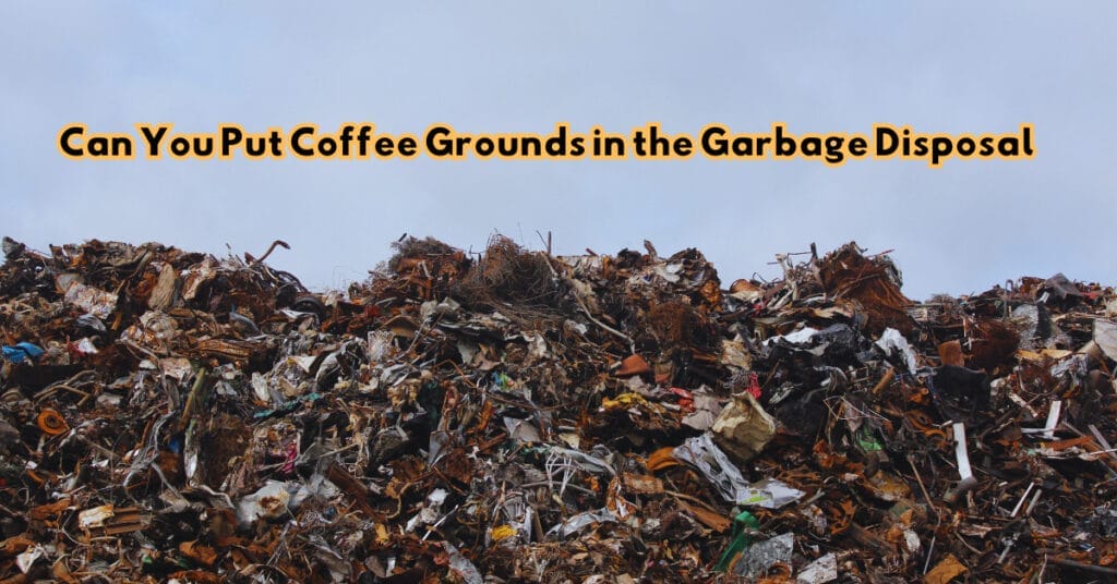 Can You Put Coffee Grounds in the Garbage Disposal