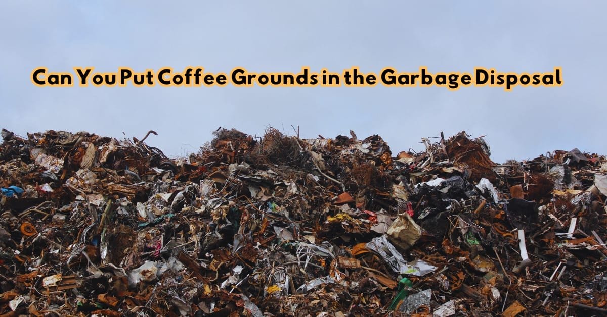 Can You Put Coffee Grounds In The Garbage Disposal 2023