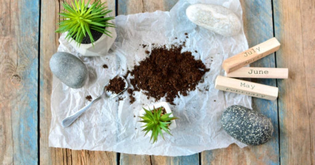 Benefits of Coffee Grounds In Snake Plant