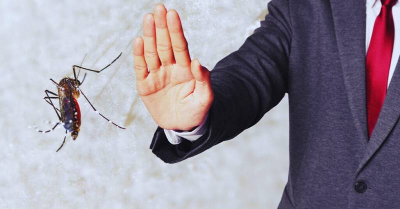 How Do You Burn Coffee Grounds To Get Rid Of Mosquitoes