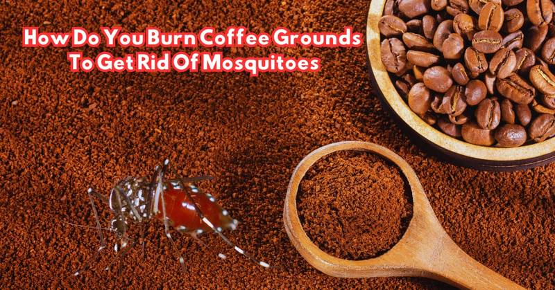 How Do You Burn Coffee Grounds To Get Rid Of Mosquitoes
