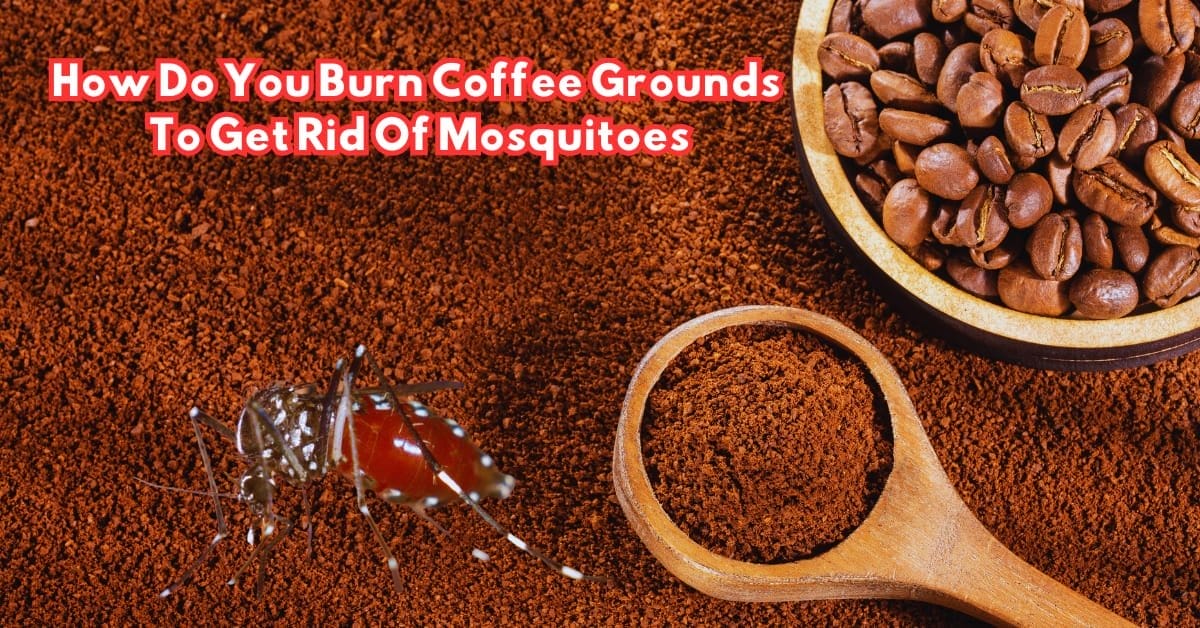 How Do You Burn Coffee Grounds To Get Rid Of Mosquitoes