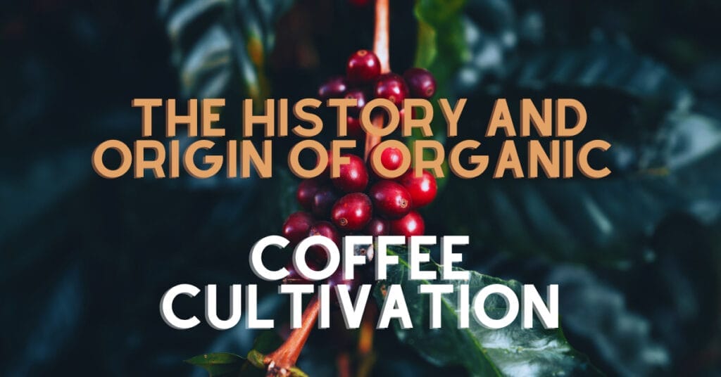 The History and Origin of Organic Coffee Cultivation