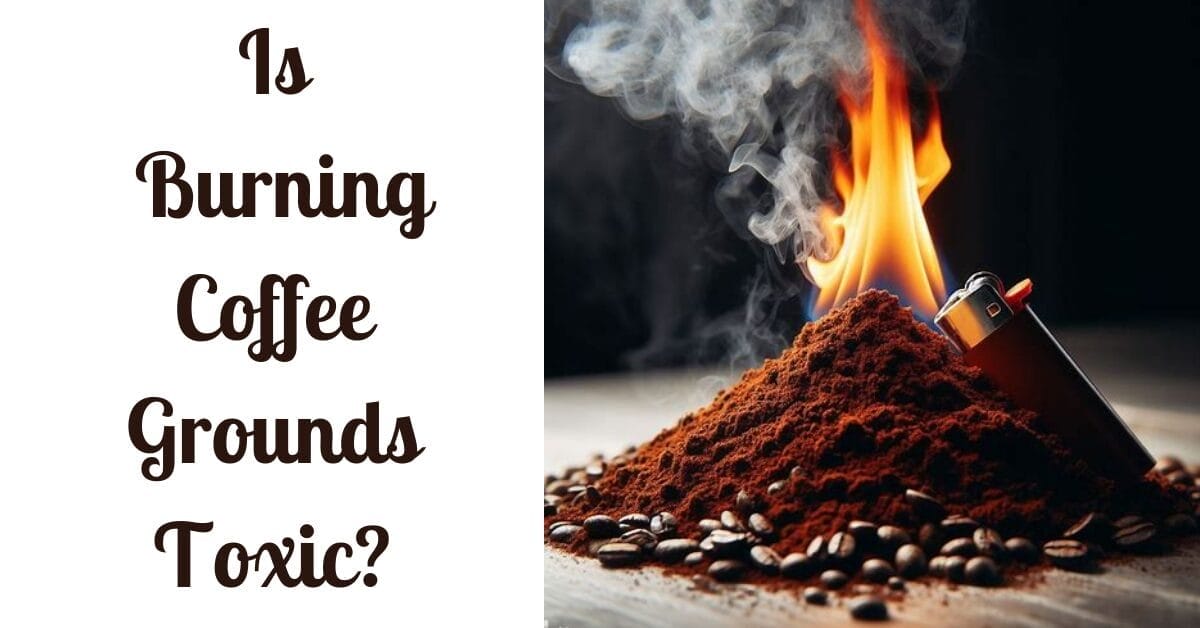 Is Burning Coffee Grounds Toxic Exploring The Hazards