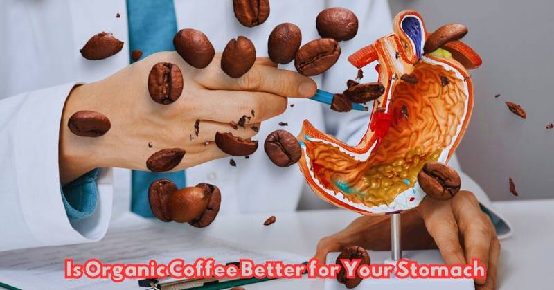 Is Organic Coffee Better For Your Stomach Mystery 2024