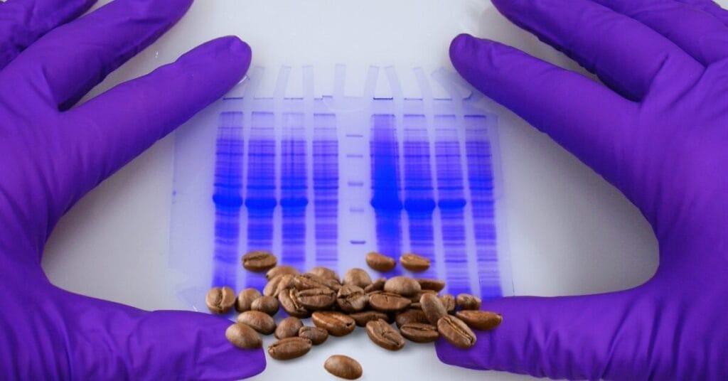 Does Organic Coffee Have Acrylamide
