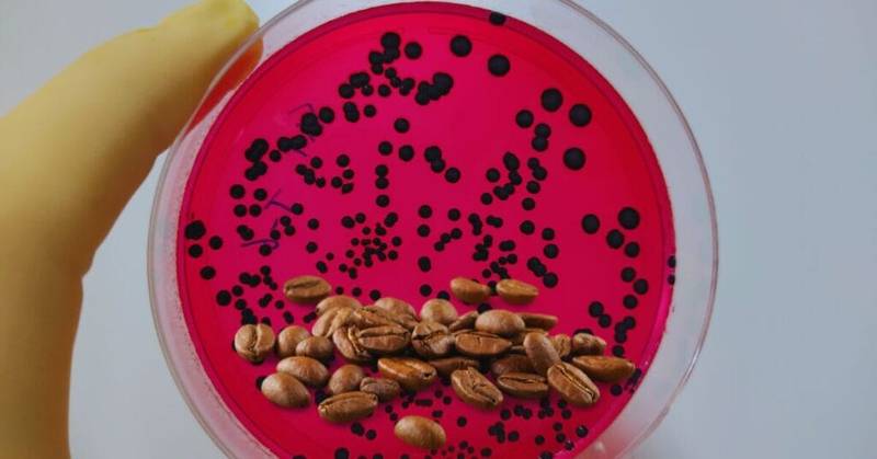 Is Organic Coffee Better for Your Stomach