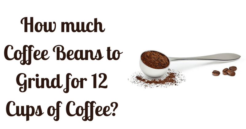 How much Coffee Beans to Grind for 12 Cups of Coffee