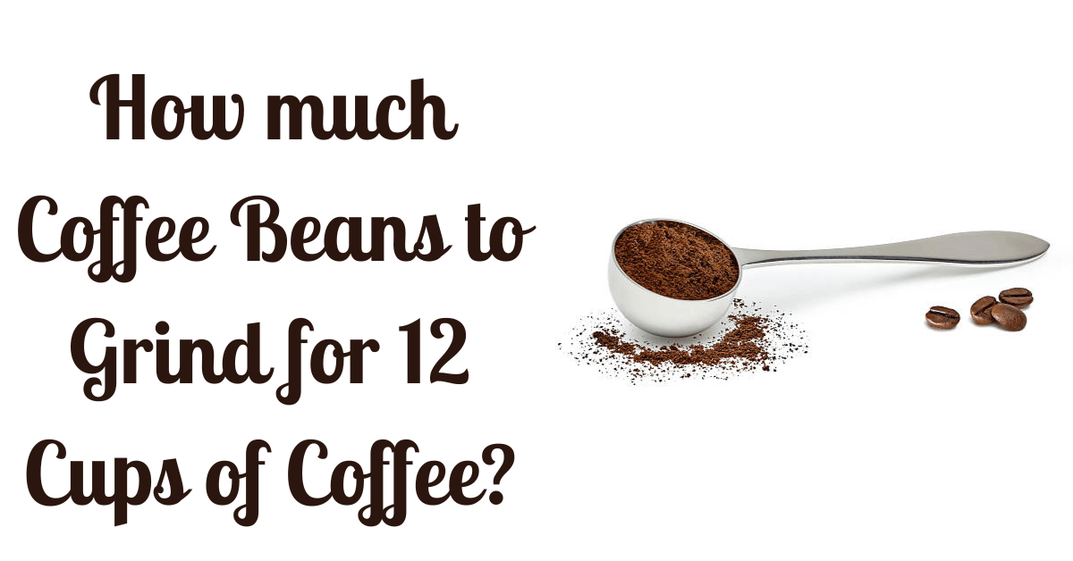 How Much Coffee Beans To Grind For 12 Cups Of Coffee Scoops