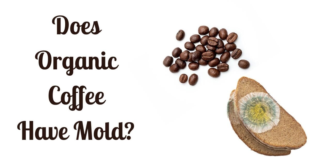 Does Organic Coffee Have Mold Not Always But Can Have, Read
