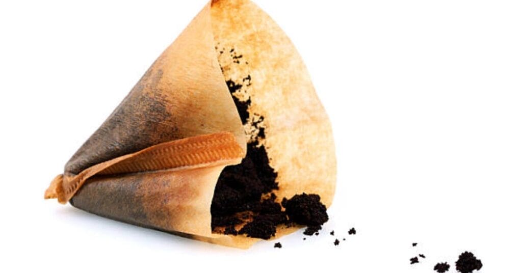 Are Coffee Filters Compostable?