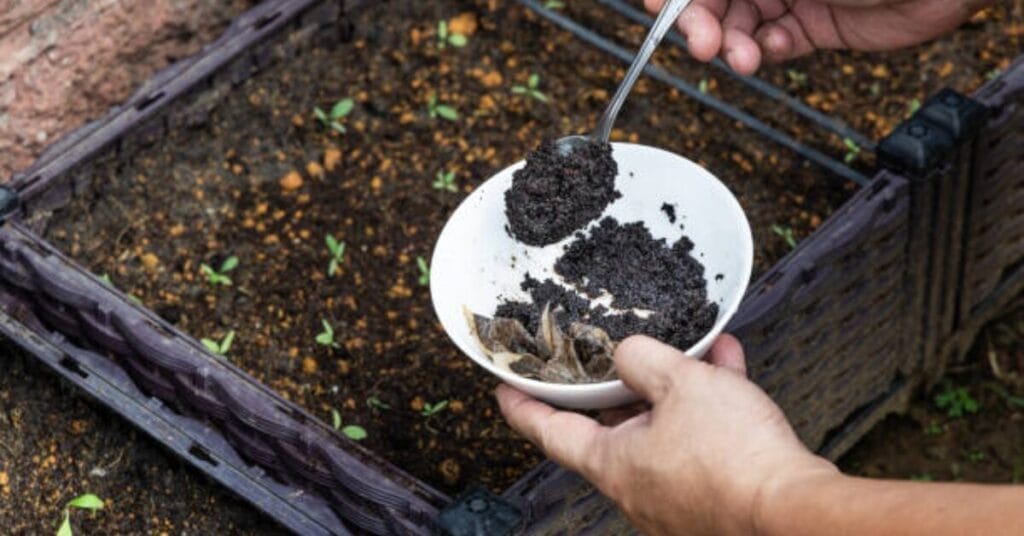 Do Coffee Grounds Decompose?