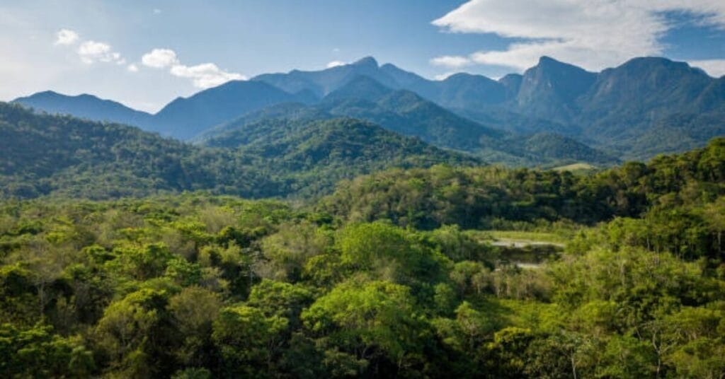 Coffee Growing Regions