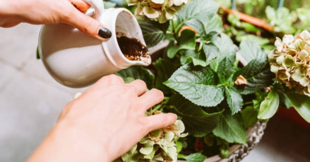 Methods for Composting Coffee Grounds