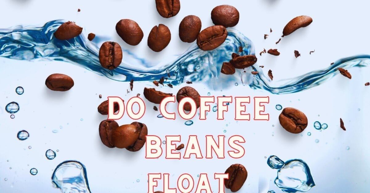 Do Coffee Beans Float Unrevealing Hidden Mystery 2024