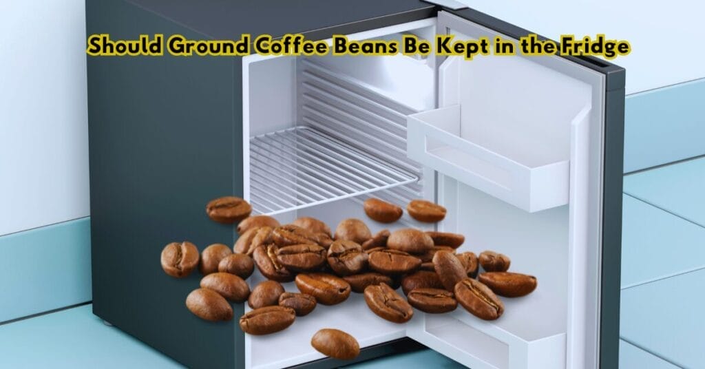 Should Ground Coffee Beans Be Kept in the Fridge