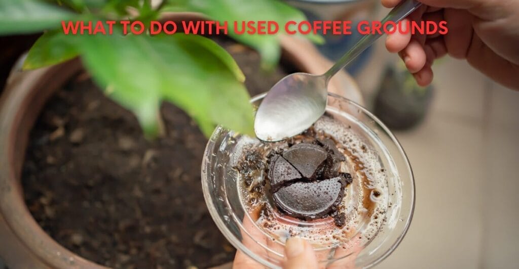 What to do with Used Coffee Grounds