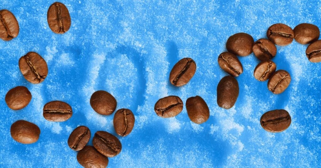 Should Ground Coffee Beans Be Kept in the Fridge