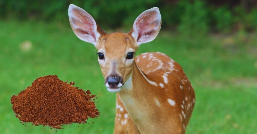 Do Coffee Grounds Keep Deer Away