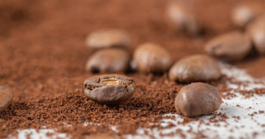 What kind of Bug looks like a Coffee Bean?