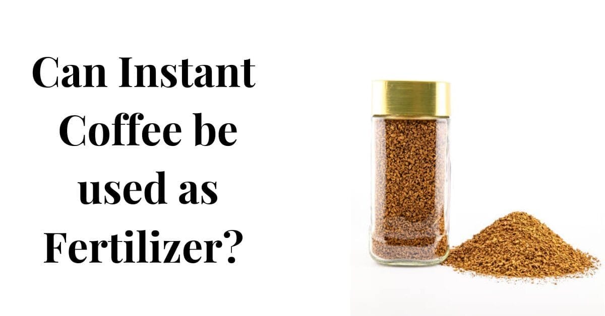 Can Instant Coffee Be Used As Fertilizer Does It Work?