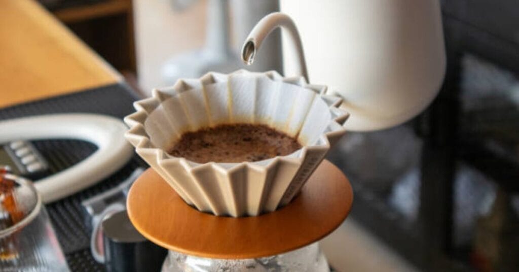 Why do paper Coffee filters decompose within 2 to 6 months?