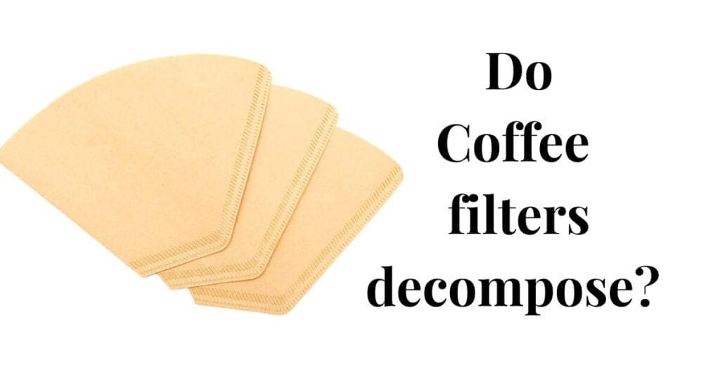 Do Coffee filters decompose